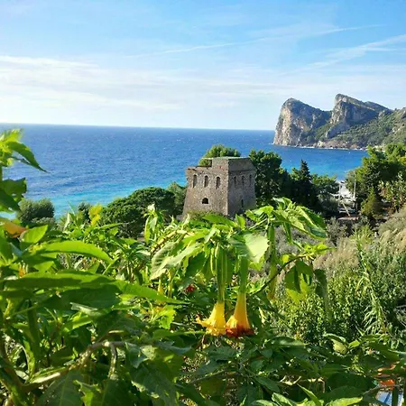 Campsite Villaggio Nettuno 3*