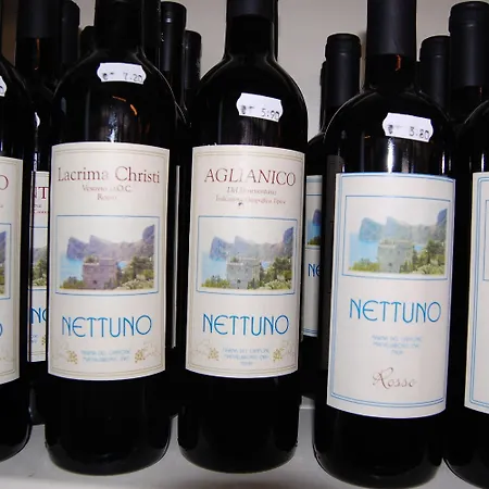 캠프장 Villaggio Nettuno